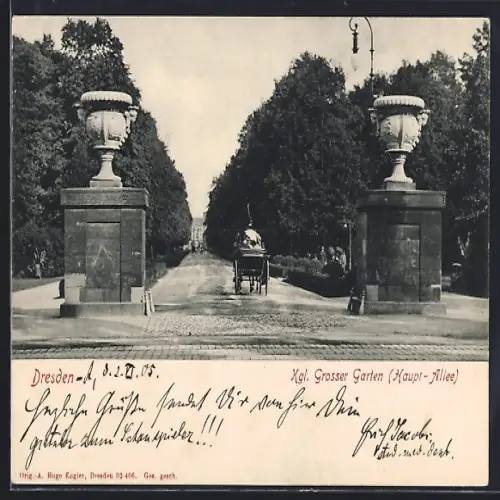 AK Dresden, Königlicher Grosser Garten, Haupt-Allee