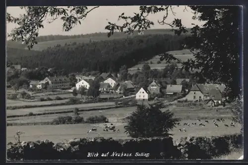 AK Neuhaus Solling, Blick auf Ort und Landschaft