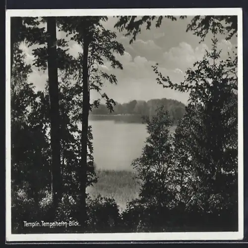 AK Templin / Mark, Tempelherrn-Blick