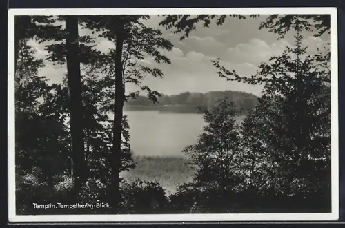 AK Templin / Mark, Tempelherrn-Blick