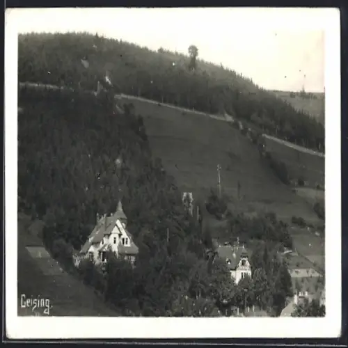 AK Geising, Häuser am bewaldeten Berghang