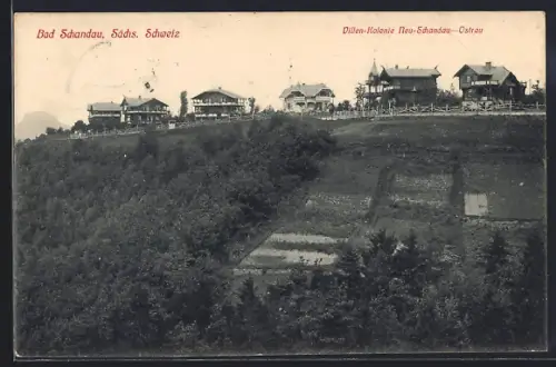 AK Bad Schandau /Sächsische Schweiz, Villen-Kolonie Neu-Schandau-Ostrau