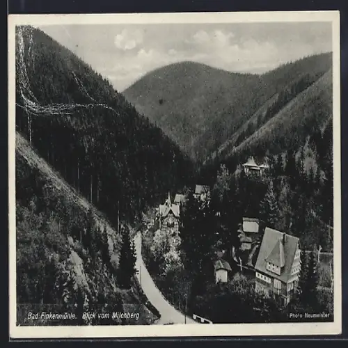 AK Bad Finkenmühle, Blick vom Milchberg