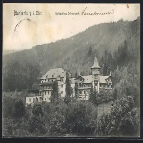 AK Blankenburg i. Thür., Waldschloss Schwarzereck im Wald