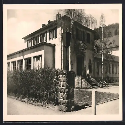 AK Ilmenau /Thür., Park-Café mit Bäumen