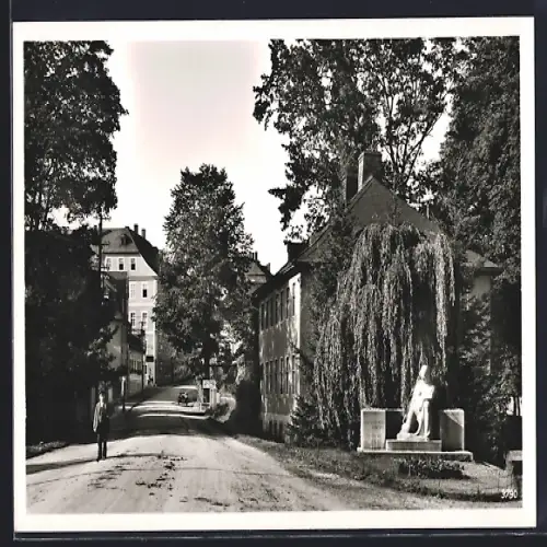 AK Ebersdorf / Thür., Strassenansicht mit Denkmal