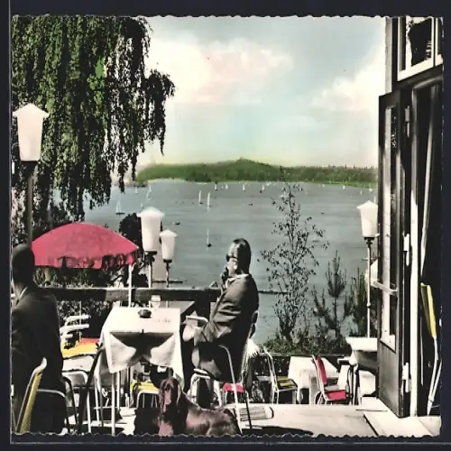 AK Berlin-Wannsee, Wannsee-Terrassen mit Blick auf den See