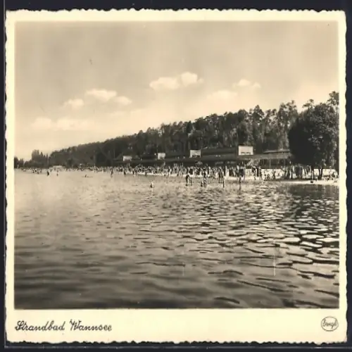 AK Berlin-Wannsee, Blick zum Ufer