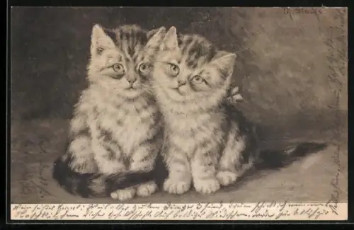 Künstler-AK Süsse getigerte Schmusekatzen