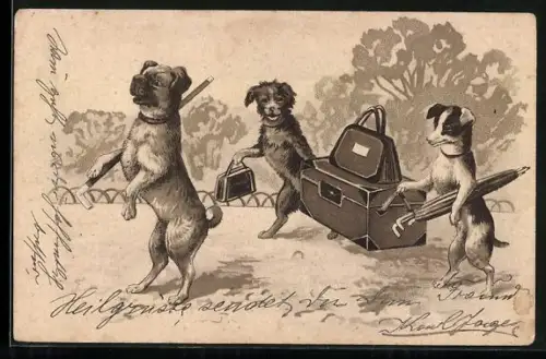 AK Terrier unternehmen eine Reise, vermenschlichte Tiere