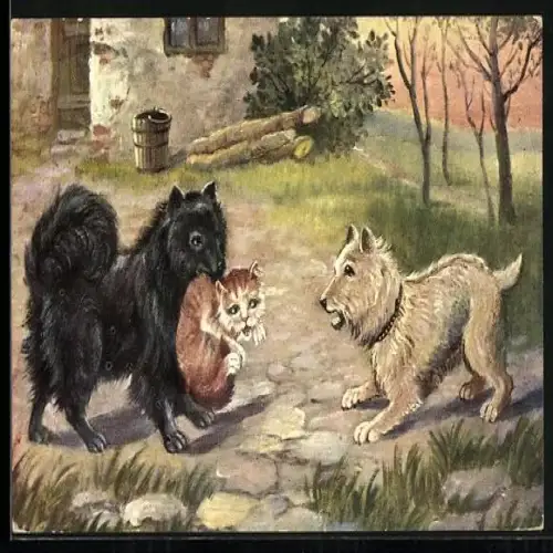 AK Hunde und Katzen spielen freundschaftlich miteinander