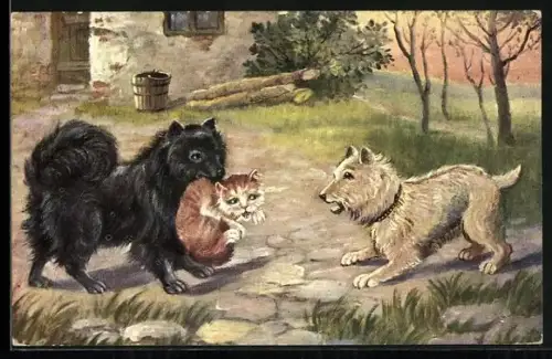 AK Hunde und Katzen spielen freundschaftlich miteinander