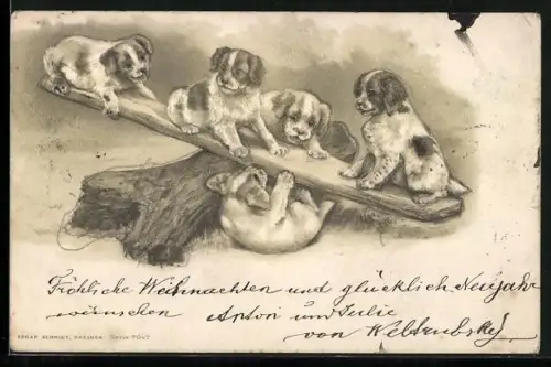 AK Fünf Welpen spielen auf einer Wippe