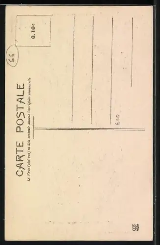 AK Pyrenäenberghund Viscos