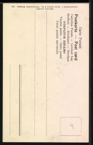 AK Äpfel am Zweig mit Blättern