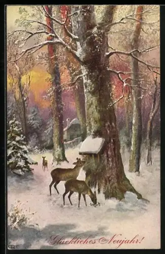 AK Rehe an einer Futterstelle im Winter, Neujahrsgruss
