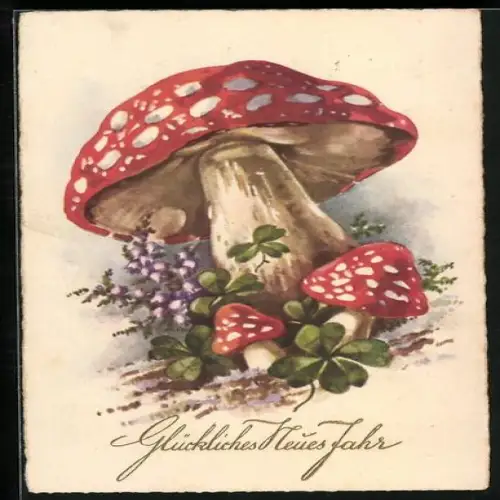 AK Fliegenpilze und Heide