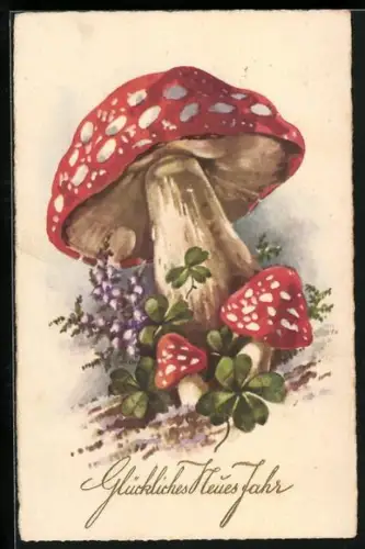 AK Fliegenpilze und Heide