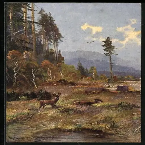 Künstler-AK M. Müller jun.: Rotwild am Waldesrand