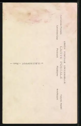 AK Napoléon a Wagram, Detail