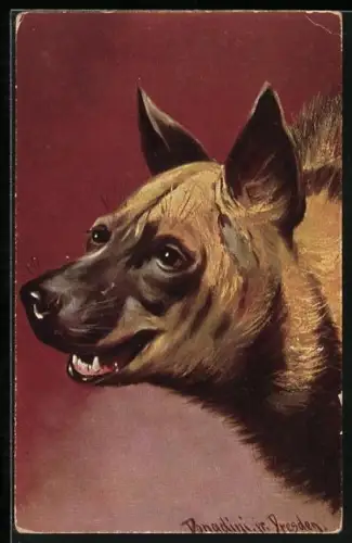 Künstler-AK Antonio Donadini: Hyäne