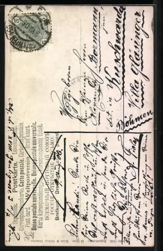 Künstler-AK M. Müller jun.: Portrait eines Bernhardiners