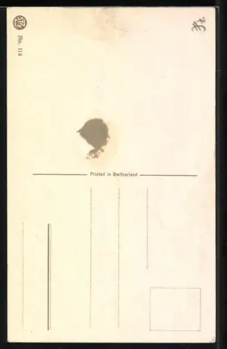 AK Portrait eines Bernhardiners