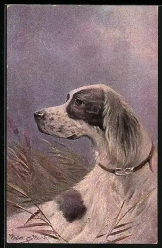 Künstler-AK M. Müller jun.: Hund liegt im hohen Gras