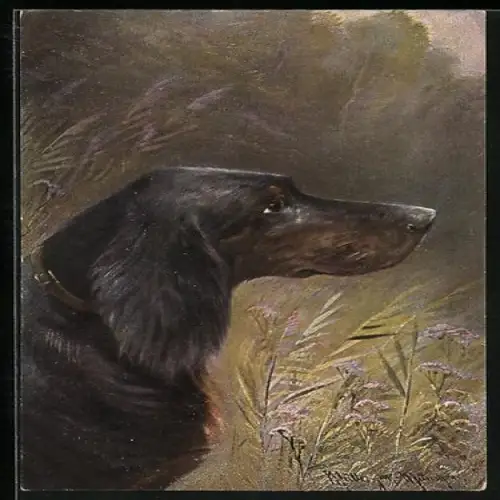 Künstler-AK M. Müller jun.: Jagdhund im Profil