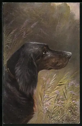 Künstler-AK M. Müller jun.: Jagdhund im Profil