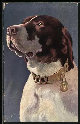 Künstler-AK wunderschöner English Pointer mit Kettenhalsband