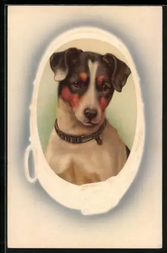 AK Fox-Terrier, gerahmt durch ein Halsband
