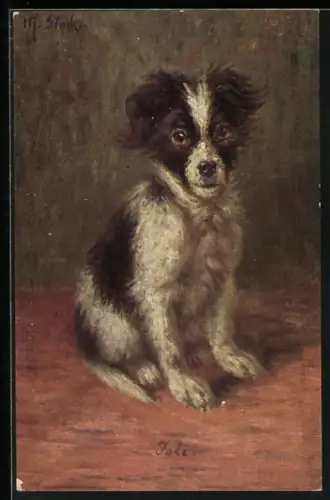 Künstler-AK Portrait eines Hundes