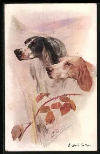 Künstler-AK English Setters, Jagdhunde