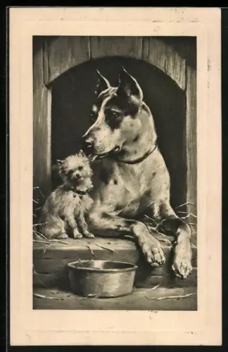 AK Dogge und Terrier teilen sich eine Hundehütte