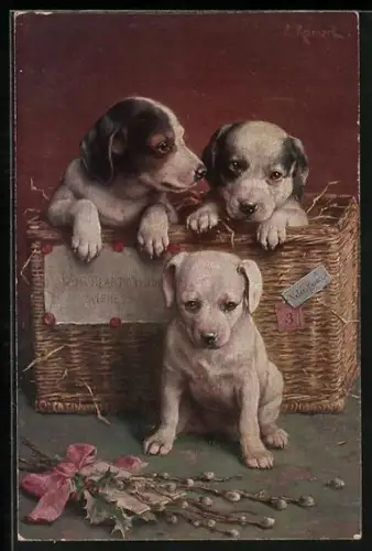 Künstler-AK C.Reichert: Drei Hundewelpen im Korb