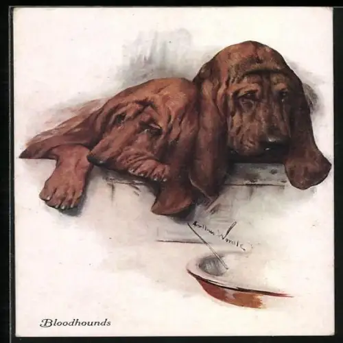 Künstler-AK Bloodhounds, Zwei ruhende Bluthunde