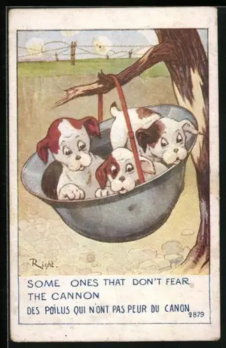 Künstler-AK Right: Some ones that don`t fear the cannon, Welpen in Soldatenhelm