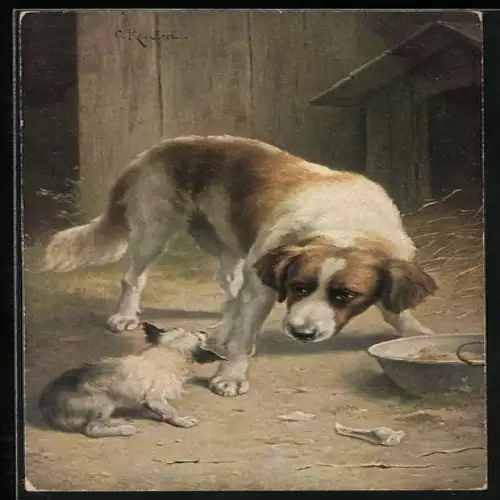 Künstler-AK C.Reichert: Grosser Hund verteidigt sein Fressen gegen einen kleineren