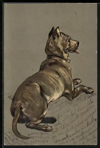 Lithographie Liegender Hund, von hinten gesehen