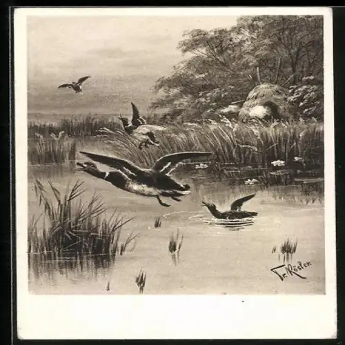 Künstler-AK Fr. Rösler: fliehende Enten am Teich