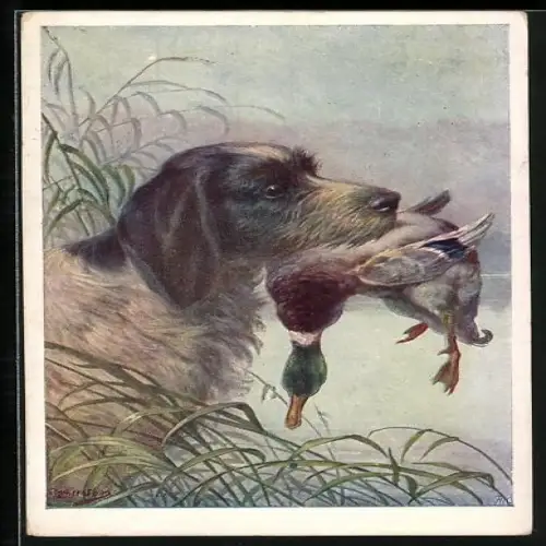 Künstler-AK Jagdhund mit abgefederter Wildente