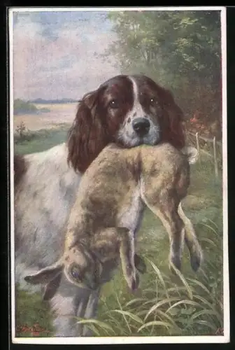 AK Jagdhund mit erlegten Hasen im Maul