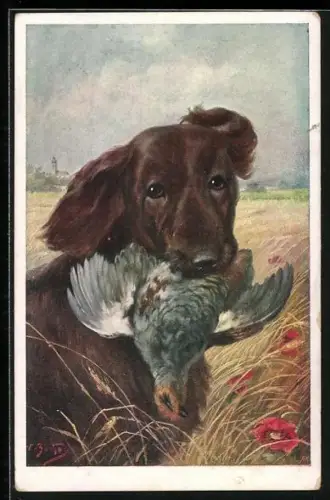 AK Jagdhund mit erlegtem Wildhuhn