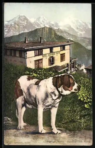 AK Schynige Platte, Hotel Schynige Platte und Bernhardiner Hund
