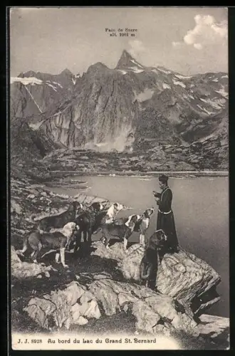 AK Grand St. Bernard, Bernhardiner am See