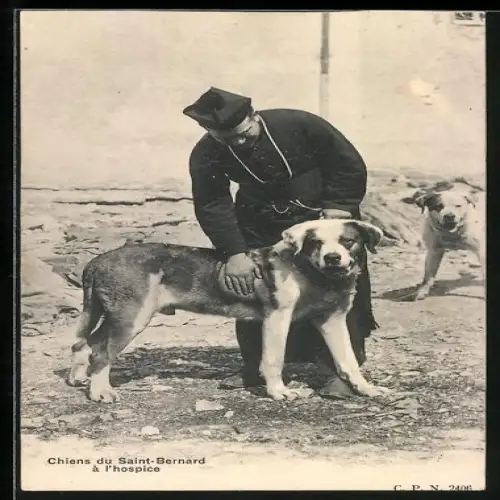 AK Au St Bernard, Pfarrer mit Bernhardiner