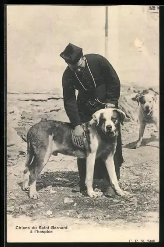 AK Au St Bernard, Pfarrer mit Bernhardiner