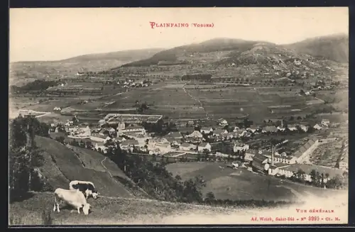AK Plainfaing /Vosges, Vue générale du village et des collines environnantes avec des vaches au premier plan