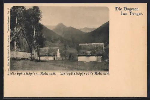 AK Hohneck /Vogesen, Blick gegen die Spitzköpfe